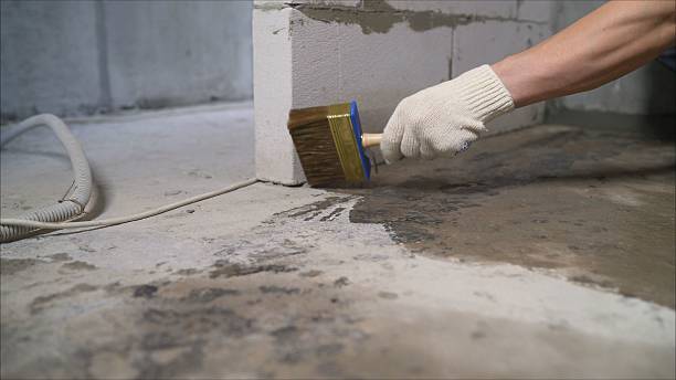 Top rated local Interior Drainage System specialists in McCordsville, IN